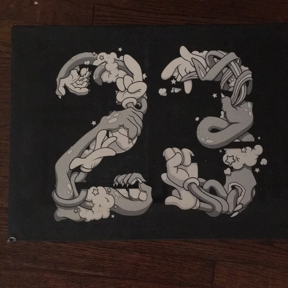 Jordan 11 retro space jam #45